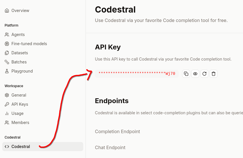 Screenshot Mistral Console